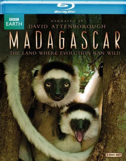 Madagascar BBC -blu