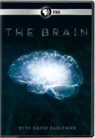 Brain, the